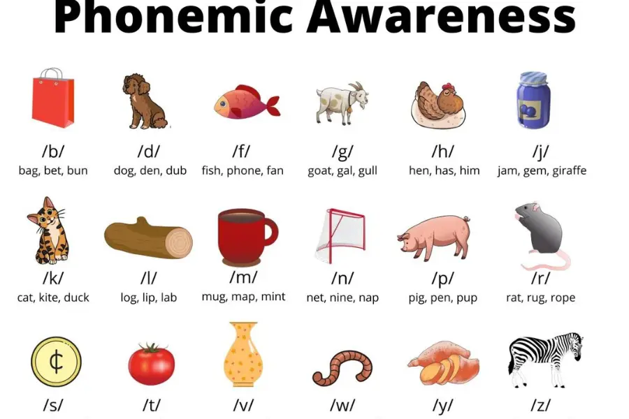 Fluency and Accuracy