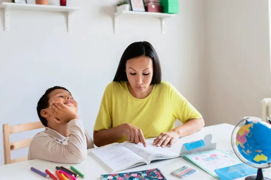 Shadow Teacher Training