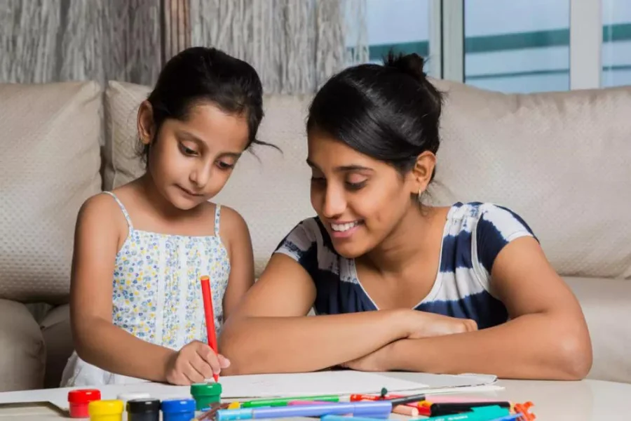 Why are Shadow Teachers hired?